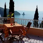 Stella's